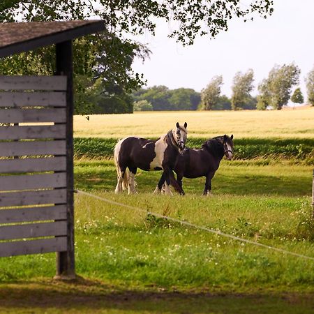 Hotel Hesselgaard Glamping Dalby Exterior foto