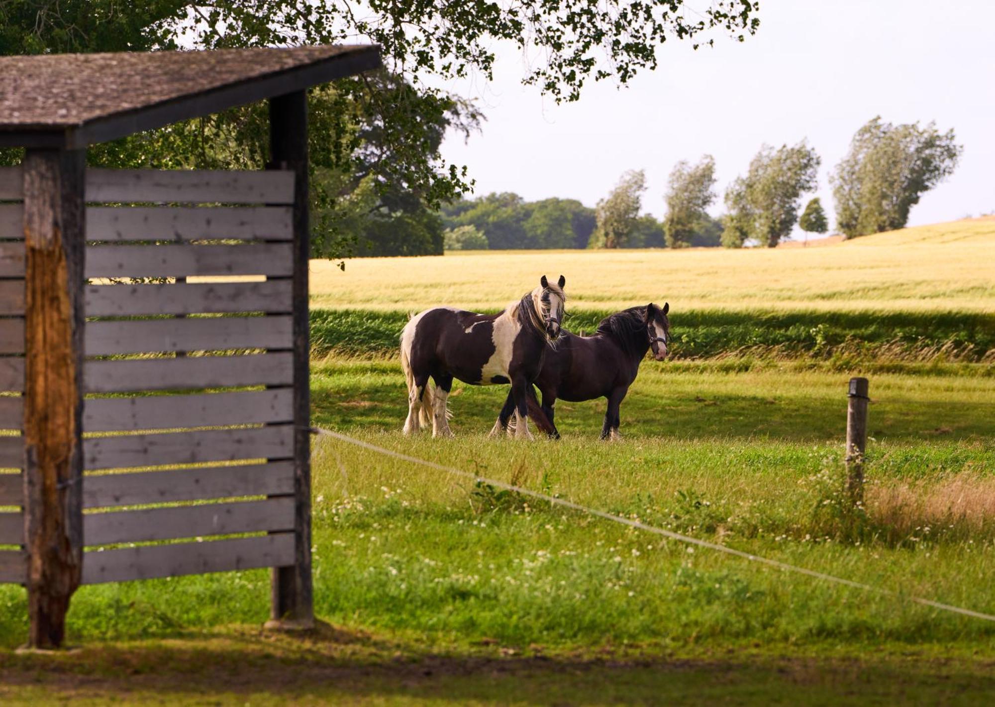 Hotel Hesselgaard Glamping Dalby Exterior foto